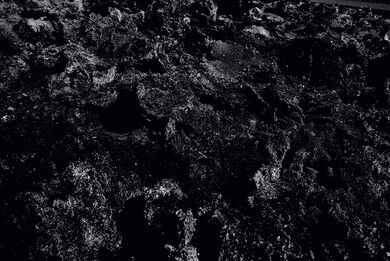 MEMORIES OF SELECTED TERRAIN